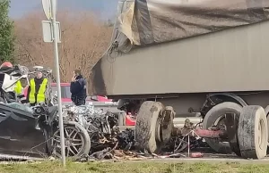 Kolejny banan robi mielone.jpg [video]