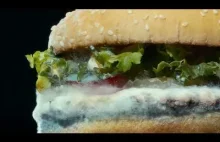 Burger King: Moldy Whopper (Festiwal Reklamowy w Cannes 2021) (Srebrny Lew)