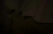 Popularny w Izraelu portal Ynet: Polscy kibice zaatakowali izraelskie autobusy