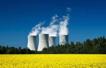 Co z pierwszą elektrownią atomową w Polsce? Rząd zapowiada audyt