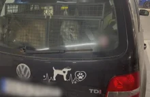 Trzymała psy w samochodzie na parkingu podziemnym. To forma tortur - UWAGA!