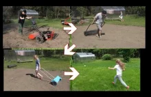 Jak założyć trawnik z siewu w 10 krokach