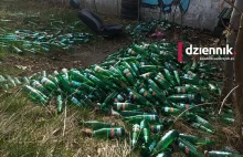 Walbrzych. Ponad 3,5 tysiąca butelek po piwie za garażami na Podzamczu - Dzienni