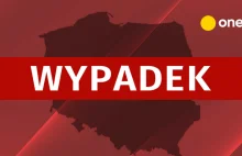 Wypadek w Szczecinie. Kierowca potrącił 12 osób