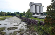 Rząd wycofał się z budowy stopni wodnych Lubiąż i Ścinawa na Odrze, wydano 6 mln