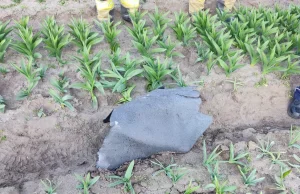 Kolejny fragment Falcona 9 znaleziony w Dopiewie pod Poznaniem.