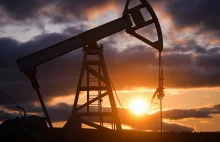 Sankcje uderzają mocniej, niż myślano. Rosyjski budżet traci na ropie fortunę