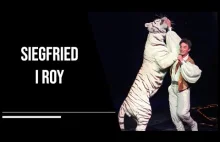 Zaatakowany przez tygrysa na scenie