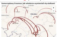 Ależ MIÓD mamy w tych TBSach! Ciągną do niego zawzięcie samorządowi politycy