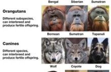 Historia programu politycznego likwidacji konceptu ludzkich ras