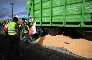 Protestujący rolnicy wysypali ukraińskie zboże z wagonów w Medyce