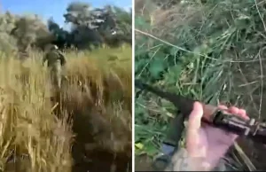 Polacy zabijają ukraińskich żołnierzy. Rosyjska propaganda w natarciu