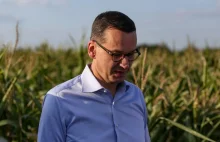 Morawiecki odpowiada Tuskowi: Układ zamknięty rządzi dziś Polską