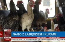 Jechał nago wioząc skradzionego łabędzia i kury. 31-letni Krzysztof Nowak wpadł