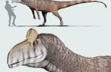 Antarktyda: Dinozaury za kołem podbiegunowym