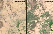 Klimat szaleje. Sahara zamieniła się w rzekę, a rzeki zamieniają się w pustynie