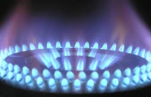 Kto ustala ceny gazu ziemnego? Czy PGNiG nimi manipuluje?