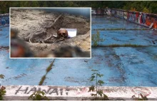 Ludzkie szczątki pod starym basenem w centrum Wrocławia