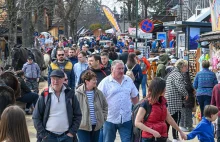 To nie żart. 500 złotych za godzinę parkingu w Zakopanem