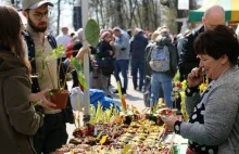 Sprawdź najciekawsze, bezpłatne wydarzenia na najbliższy weekend i majówkę! [28.