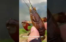 Na muchę - Wędkarstwo muchowe w UK