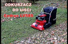 Cedrus LV58S 4w1 - Spalinowy odkurzacz/wertykulator do liści, igieł itp Test Rec