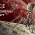 Życie | Jak powstały wirusy?
