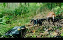 Grzyb w lesie gra na mini keyboardzie xD