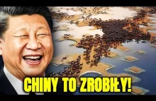 Chiny Wypuściły Wymarłe Konie Na Pustynię! Efekt Zszokował Świat