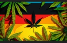 Niemcy dążą do legalizacji marihuany, omijając unijne restrykcje