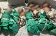 Szpital w Gazie: Noworodki wyjęto z inkubatorów, lekarze próbują je ratować