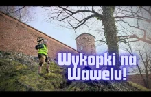 Wykopki pod Wawelem! Spełnienie marzeń wszystkich poszukiwaczy z wykrywaczem...