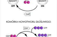 Mity spiskowe o cudownych metodach leczenia raka