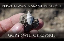 W poszukiwaniu skamieniałości ślimaków - pole z muszlami sprzed milionów lat