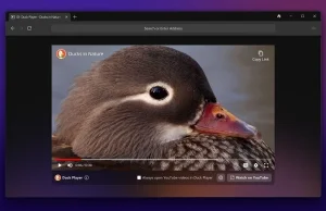Przeglądarka DuckDuckGo Beta dostępna dla systemu Windows
