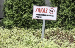 Fruwające psie odchody. Postanowili ratować się monotlenkiem diwodoru