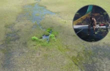 USA. Pilot rozbił awionetkę na mokradłach. Na pomoc czekał wśród aligatorów