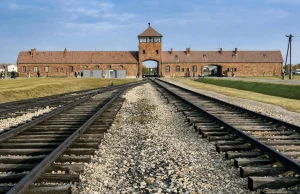 Jak reddit pisze swoją historię obozu koncentracyjnego w Oświęcimiu