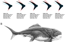Dlaczego wymarły ryby pancerne i ichtiozaury?