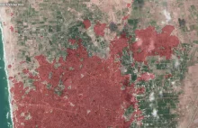 Ziemia spalona. Interaktywna mapa zniszczeń w Strefie Gazy