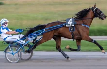 Ceny działek budowlanych końca podwyżek nie widać, ale galop przeszedł w kłus