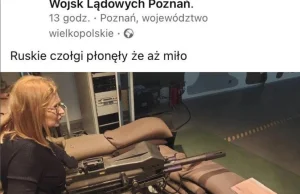 Sabotaż i podżeganie do wojny przez Gosiewską