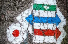 Kolory szlaków - który z nich jest najłatwiejszy?