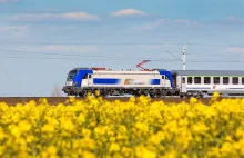 PKP Intercity: Już 70 Griffinów 160