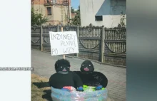 Niewinny żart czy przejaw nienawiści? Dożynkowe kukły trafiły do prokuratury