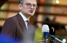 Ukraiński minister spraw zagranicznych apeluje do Niemiec o przywództwo w sprawi