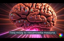 Co Ty wiesz o scrollowaniu?