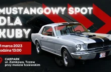 Zlot Mustangów dla Kuby - tego nikt się nie spodziewał