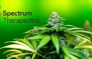Nowa odmiana medycznej marihuany od Spectrum Therapeutics!