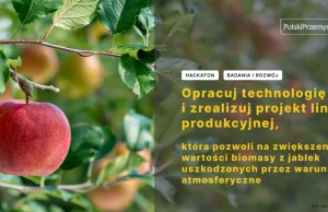 Opracuj i zrealizuj projekt linii produkcyjnej dedykowanej biomasie jabłkowej